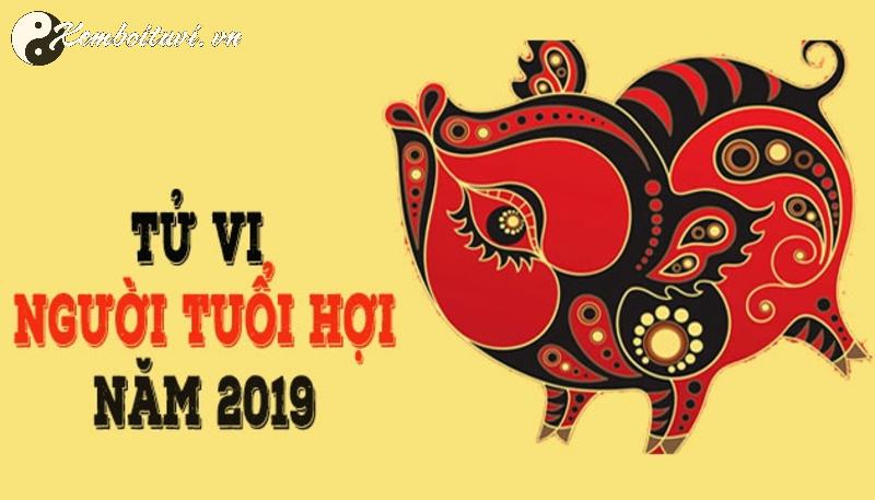 Sinh Năm 2019 Hợp Hướng Nào? Chọn Sai Hướng, Vận Mệnh Đổi Chiều!