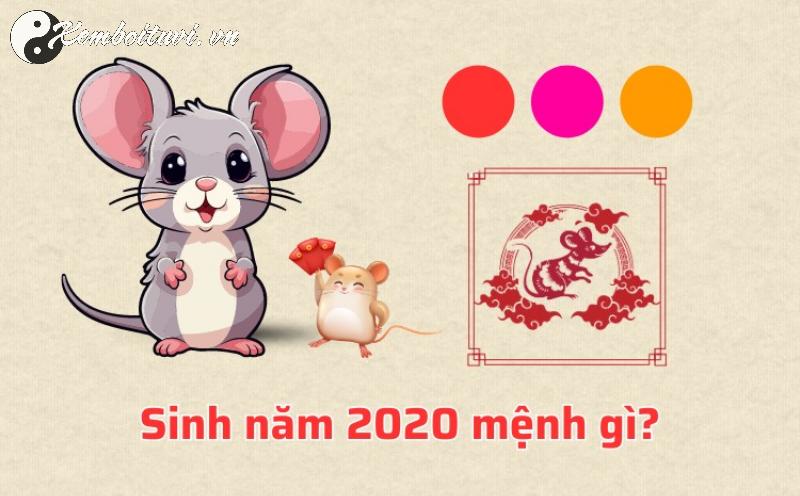 Sinh Năm 2020 Hợp Màu Gì? Chọn Đúng Sắc Màu, Đổi Vận May Ngay Hôm Nay!