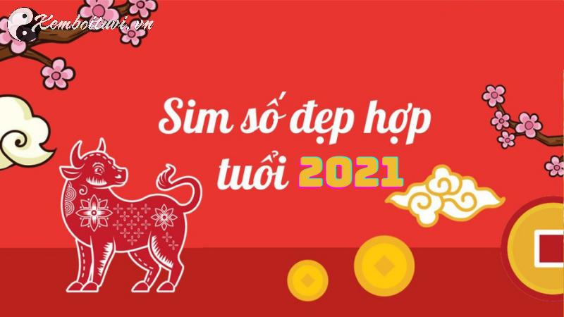 Sốc: Người Sinh Năm 2021 Hợp Số Nào? Sự Thật Về Sim Phong Thủy Giúp Đổi Vận!