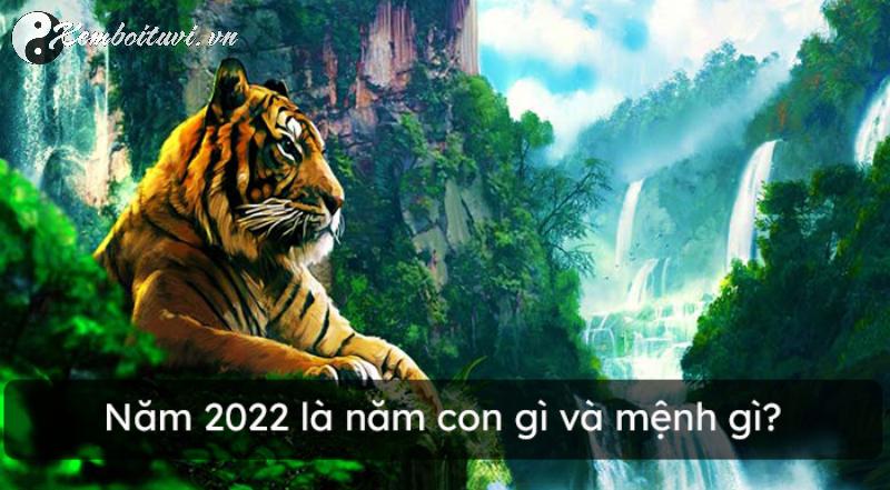 Sai Một Ly, Lệch Cả Vận Mệnh: Hướng Kê Giường Ngủ Chuẩn Phong Thủy Cho Người Sinh Năm 2022