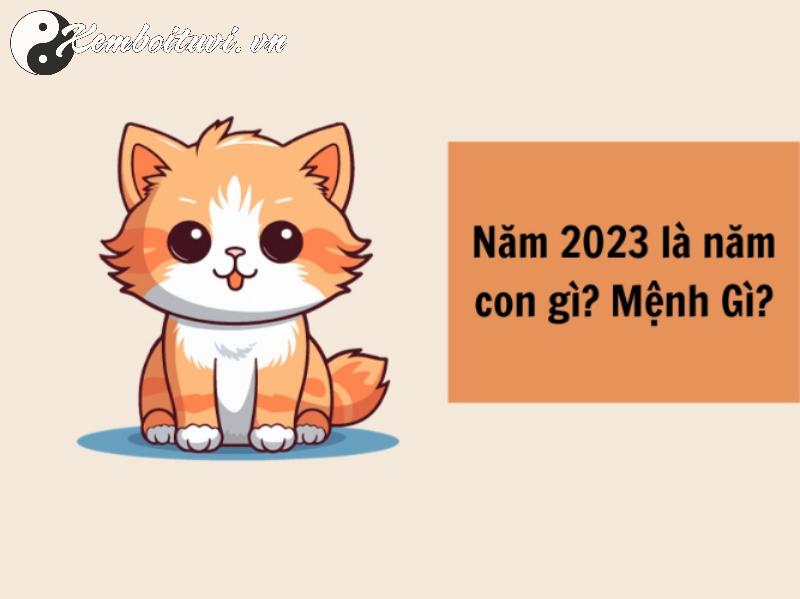 Sinh Năm 2023 Hợp Hướng Nào? Chọn Đúng Hướng, Đổi Đời Ngay!
