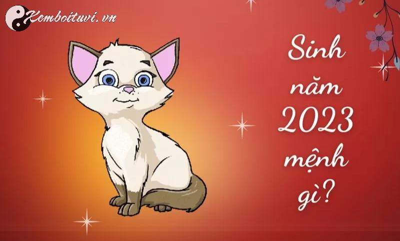 Hé Lộ Hướng Kê Giường Ngủ Cho Người Sinh Năm 2023 Giúp Tài Lộc Tăng Vọt!