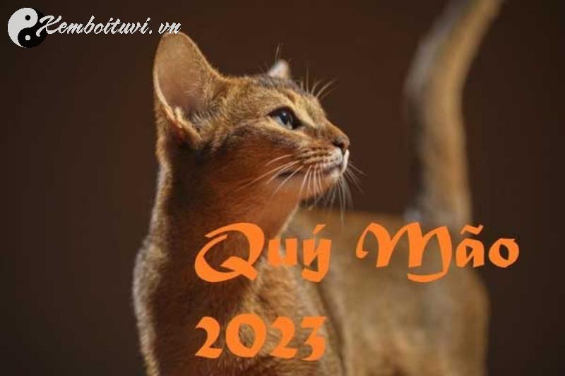 Sự Thật Bất Ngờ: Sinh Năm 2023 Hợp Số Nào? Chọn Sim Phong Thủy Đúng Cách Để Tăng Tài Lộc!