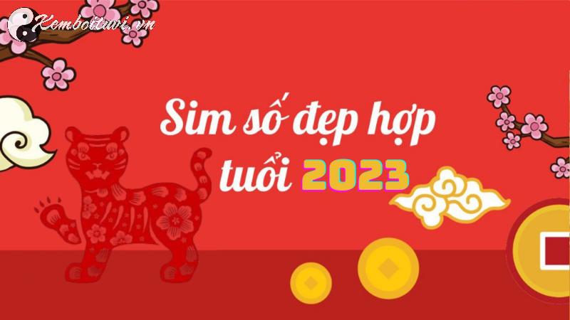 Sự Thật Bất Ngờ: Sinh Năm 2023 Hợp Số Nào? Chọn Sim Phong Thủy Đúng Cách Để Tăng Tài Lộc!