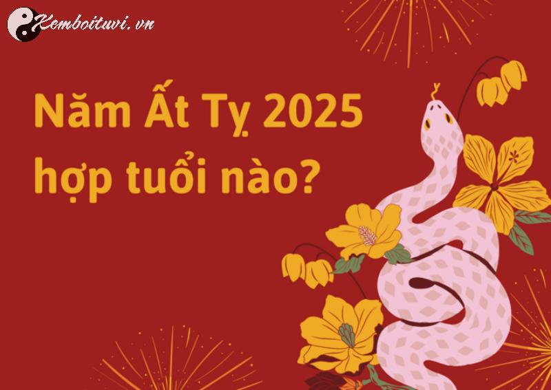 Sinh Năm 2025 Ất Tỵ Mệnh Gì? Bí Ẩn Phong Thủy Tuổi Rắn