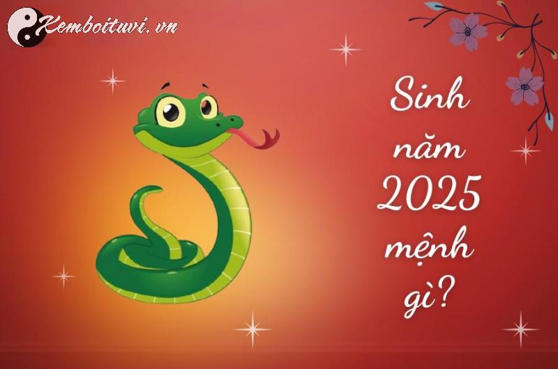 Người Sinh Năm 2025 Mua Xe Màu Gì Để Tài Lộc Dồi Dào? Đừng Chọn Sai Kẻo Hao Hụt Tiền Bạc!