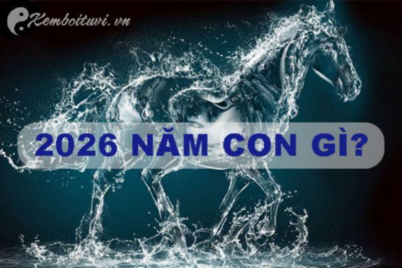 Sốc! Người Sinh Năm 2026 Nhất Định Phải Biết Con Số Này Để Đổi Vận!