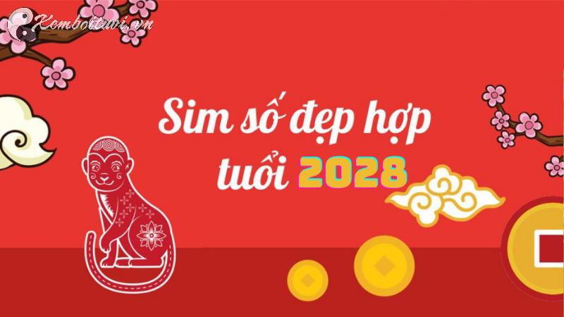 Sinh Năm 2028 Hợp Số Nào? Chọn Sim Phong Thủy Để Kích Tài Lộc & May Mắn!