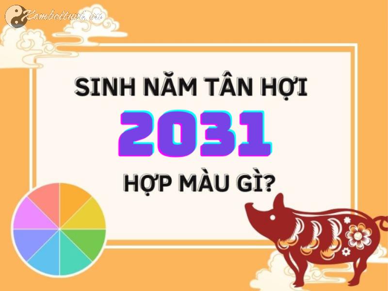 Tiết Lộ Màu Sắc Giúp Người Sinh Năm 2031 Thu Hút Tài Lộc Ngay Lập Tức