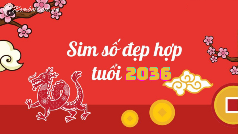 Sinh năm 2036 hợp số mấy? Sim phong thủy cho người sinh năm 2036