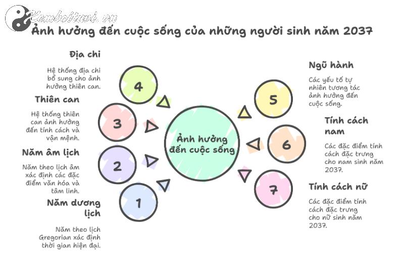 Sinh Năm 2037 Đinh Tỵ Mệnh Gì? Bí Mật Phong Thủy Tuổi Rắn