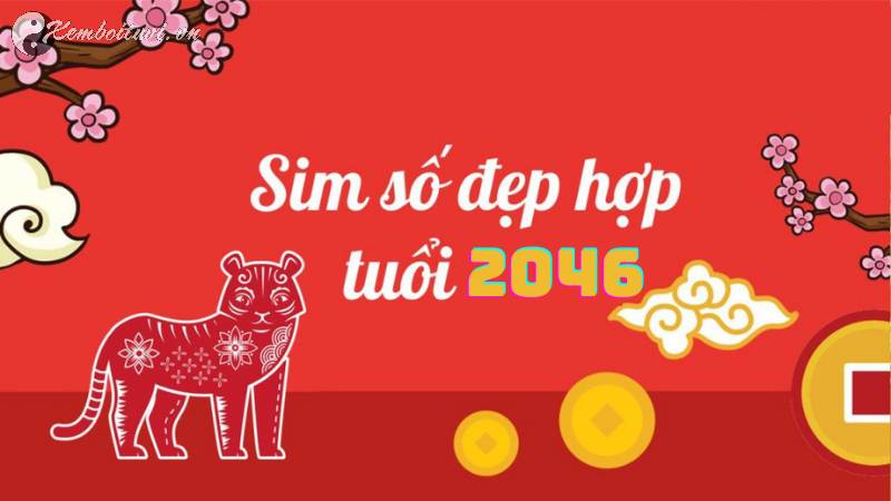 Sinh Năm 2046 Hợp Số Mấy? Sim Phong Thủy Cho Người Sinh Năm 2046