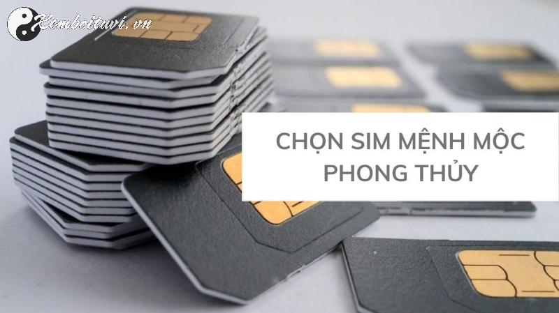 Khám Phá Bí Mật Sim Hợp Mệnh Mộc: Chiêu Tài Lộc, Đổi Vận May