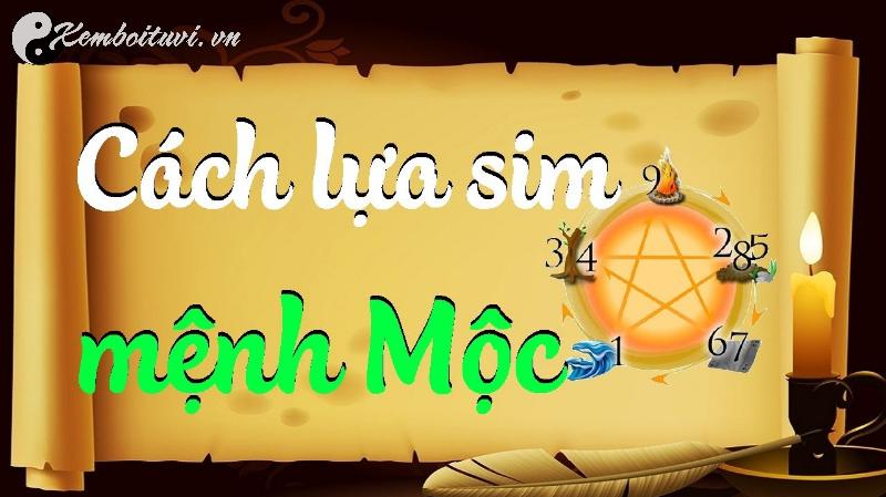 Khám Phá Bí Mật Sim Hợp Mệnh Mộc: Chiêu Tài Lộc, Đổi Vận May