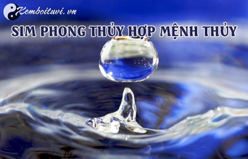 Chọn Sim Hợp Mệnh Thủy – Bí Quyết Thu Hút Tài Lộc và May Mắn