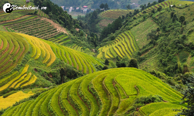 Bảy Loại Cát Tướng Chủ Yếu Của Hình Thế: Bí Mật Chọn Đất Lành Trong Phong Thủy Cổ