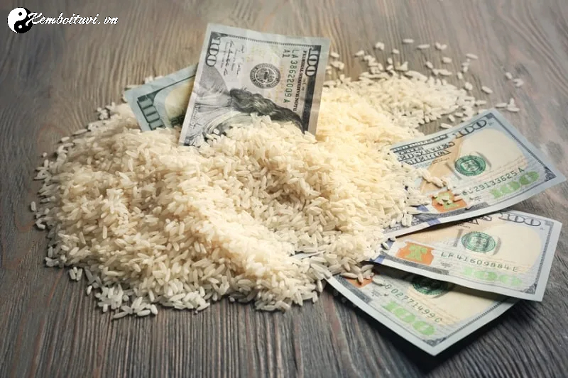 C&aacute;ch Đặt Muối Gạo Trong Nh&agrave; Để Thu H&uacute;t T&agrave;i Lộc V&agrave; Xua Đuổi T&agrave; Kh&iacute;