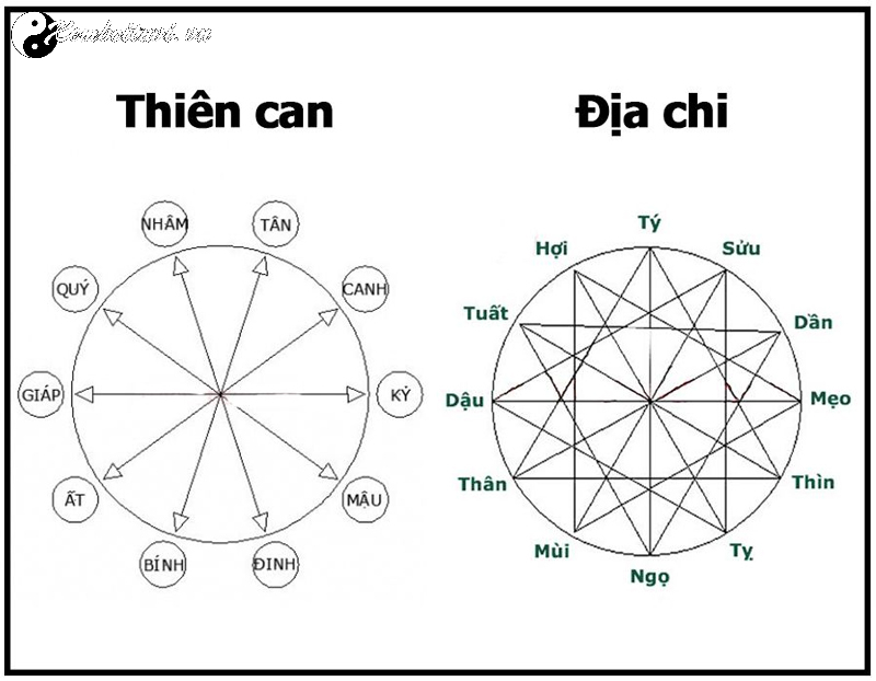 Cách Tính Can Chi Ngày Tháng Năm: Bí Mật Thời Gian Trong Văn Hóa Phương Đông