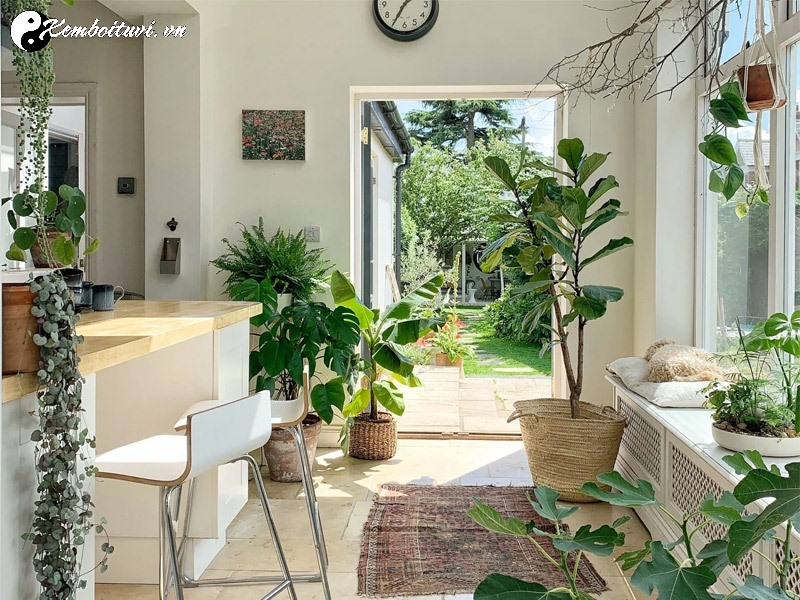 Những Loại C&acirc;y Phong Thuỷ Mang Lại May Mắn Cho Người Tuổi Ngọ