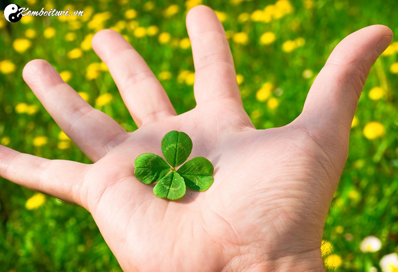 Những Điều Nên Làm Cuối Năm Để Thu Hút May Mắn Và Tài Lộc Cho Năm Mới