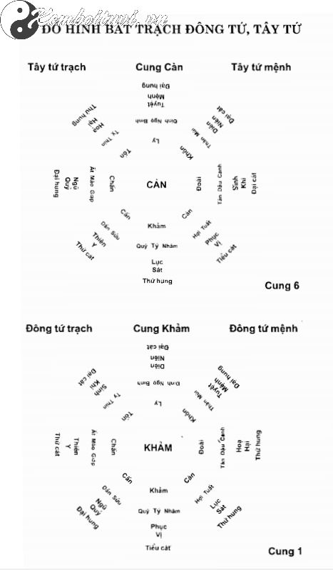 Đồ Hình Bát Trạch Đông Tứ, Tây Tứ: Bản Đồ Định Hướng Cát Hung Trong Phong Thủy