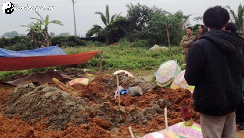Hình Thái Tọa Thủ Của Long Mạch: Nghệ Thuật Tìm Vị Trí Hoàn Hảo Trong Phong Thủy
