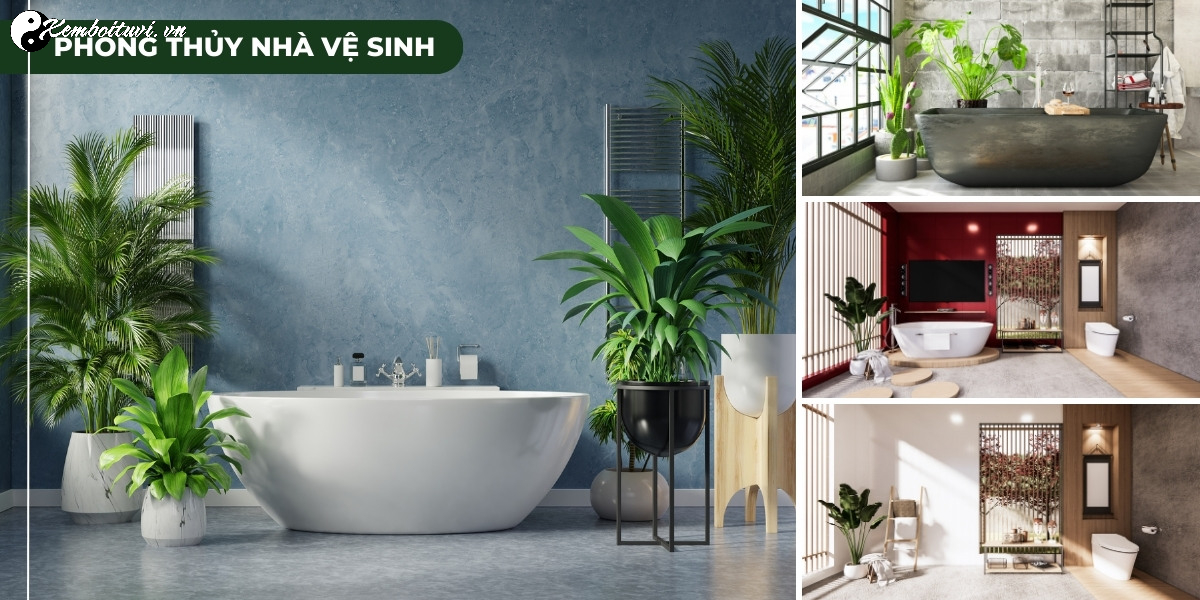 Hóa Giải Phong Thủy Xấu Cho Nhà Vệ Sinh 2025