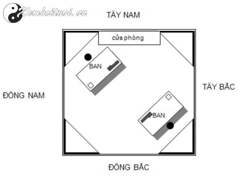 Hé Lộ Bí Quyết Chọn Hướng Bàn Làm Việc Giúp Người Sinh Năm 1955 Đón Tài Lộc Và Thịnh Vượng!