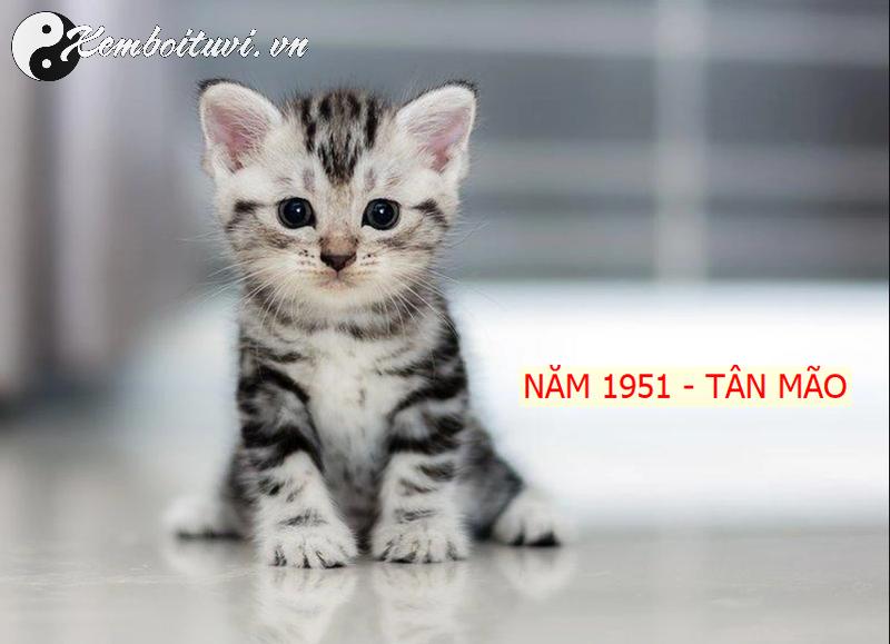 Hé Lộ Bí Quyết Kê Giường Ngủ Mang Tài Lộc Cho Người Sinh Năm 1951