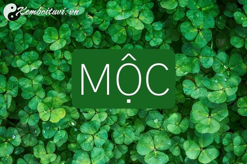 Khám Phá Bí Quyết Chọn Tranh Phong Thủy Giúp Người Mệnh Mộc Thu Hút Tài Lộc!