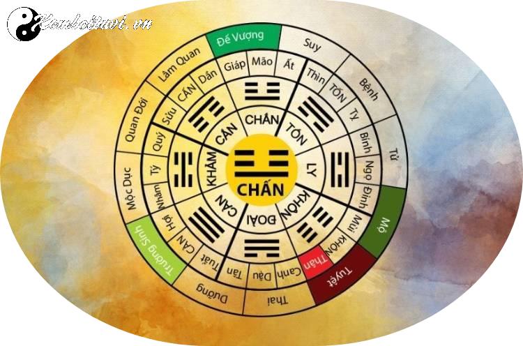 Cung Chấn: Ý Nghĩa và Tác Động Sâu Rộng Trong Phong Thủy Bát Trạch