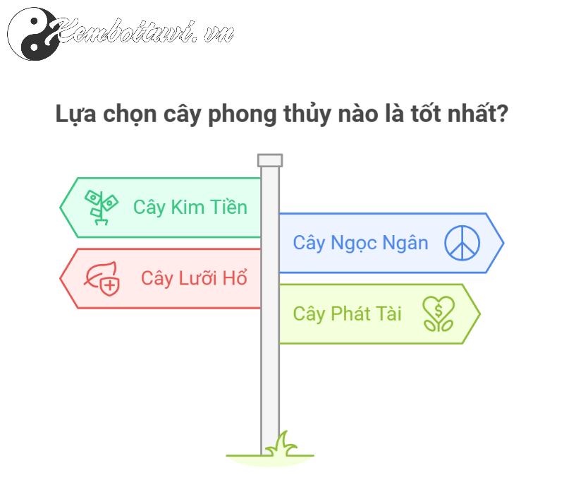 Bí Quyết Chọn Cây Phong Thuỷ Hợp Tuổi Mão: Đón Tài Lộc, Tăng Bình An