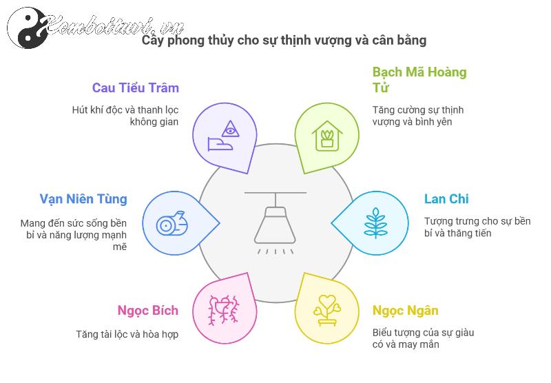 Cây Phong Thuỷ Hợp Tuổi Tuất: Mang Lại Bình An Và Tài Lộc