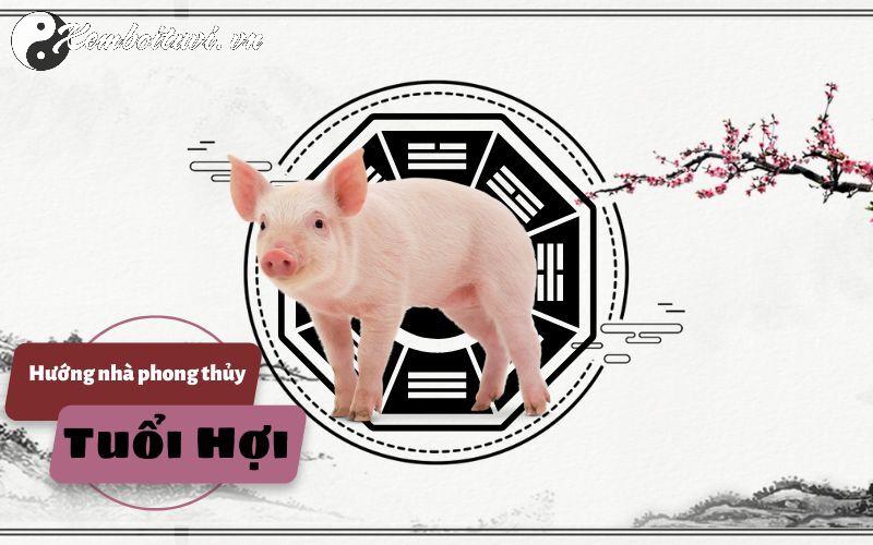 Chọn Hướng Nhà Chuẩn Phong Thủy Cho Người Tuổi Hợi: An Lạc, Thành Công, Thịnh Vượng