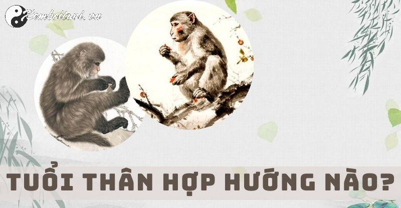 Chọn Hướng Nhà Chuẩn Phong Thủy Cho Người Tuổi Thân: Thành Công, Tài Lộc, Sức Khỏe