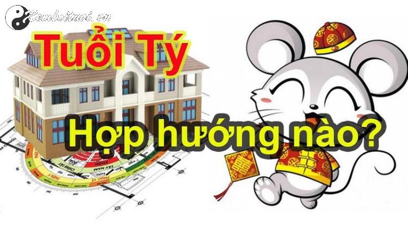 Chọn Hướng Nhà Chuẩn Phong Thủy Cho Người Tuổi Tý: Tài Lộc, Sức Khỏe, Hạnh Phúc