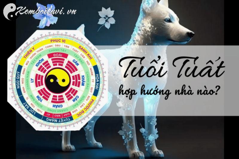 Chọn Hướng Nhà Chuẩn Phong Thủy Cho Người Tuổi Tuất: Tài Lộc, An Vui, Bền Vững
