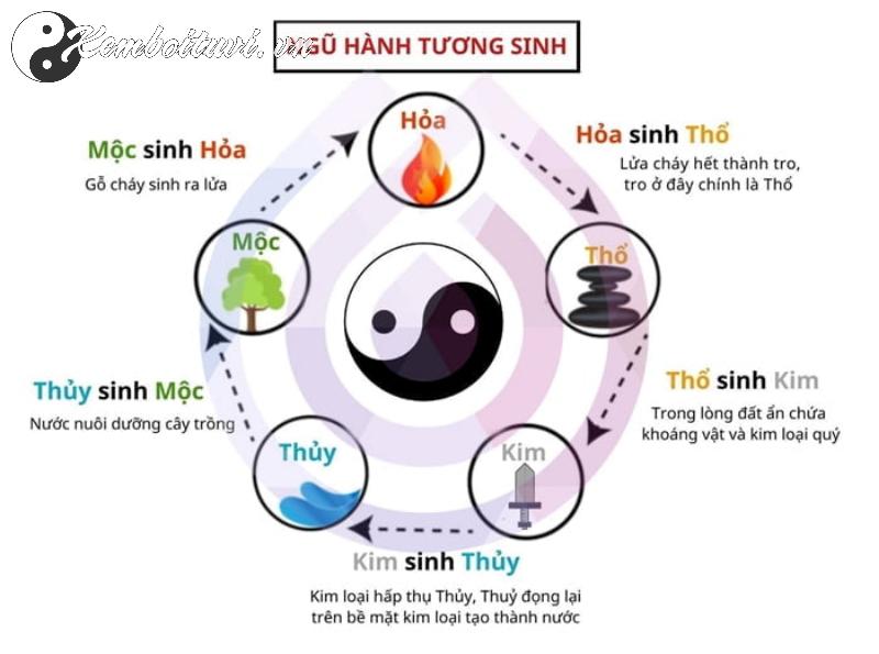 Khám Phá Bí Mật Phái Ngũ Hành: Cách Cân Bằng Năng Lượng và Thu Hút Tài Lộc