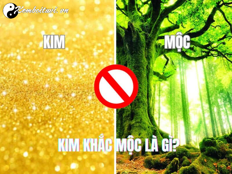 Kim Khắc Mộc: Tìm Hiểu Mối Quan Hệ Tương Khắc Trong Ngũ Hành