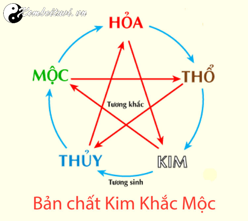 Kim Khắc Mộc: Tìm Hiểu Mối Quan Hệ Tương Khắc Trong Ngũ Hành