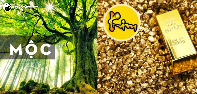 Kim Khắc Mộc: Tìm Hiểu Mối Quan Hệ Tương Khắc Trong Ngũ Hành