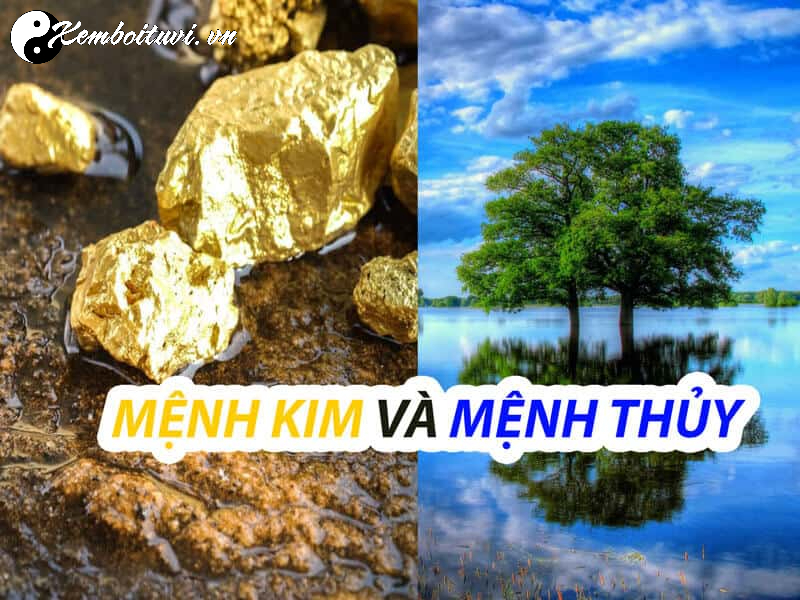 Kim Sinh Thủy: Quy Luật Tương Sinh Và Ứng Dụng Trong Phong Thủy