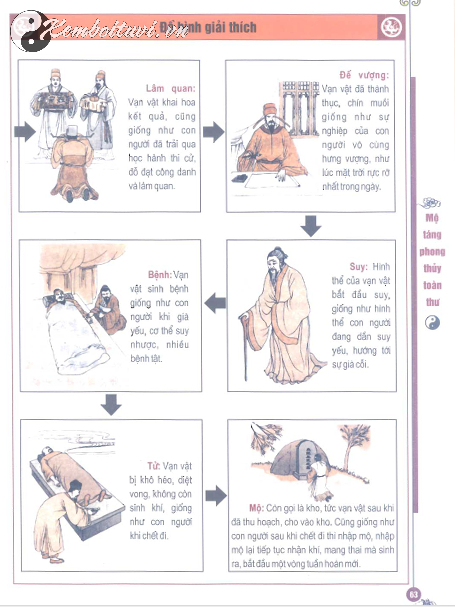 Ký Sinh 12 Cung: Giải Mã Vòng Tuần Hoàn Sinh Tử Của Vạn Vật