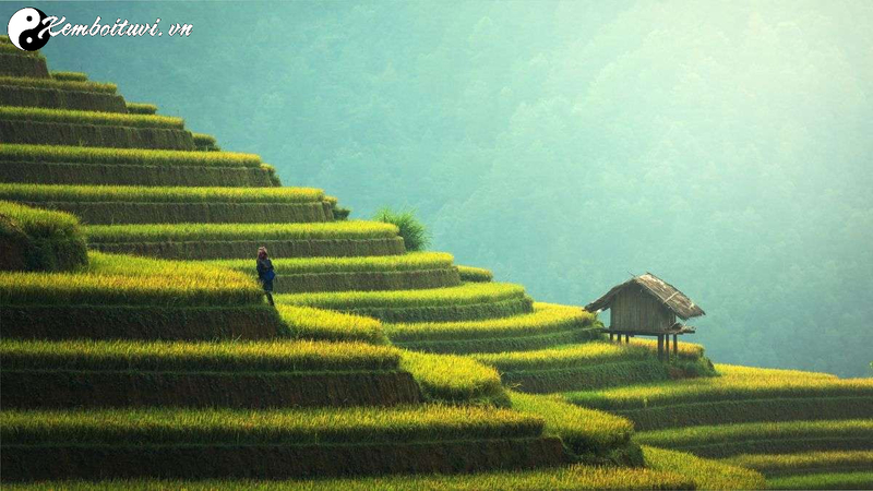 Làm Thế Nào Để Tìm Được Sinh Khí Của Sông Núi