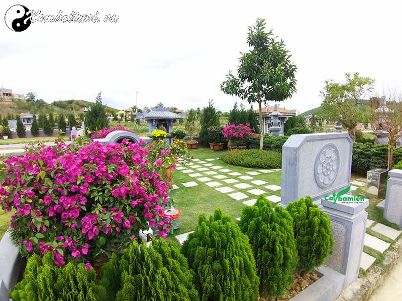 Lưu Ý Phong Thủy Khi Chọn Chất Liệu Mộ Đá