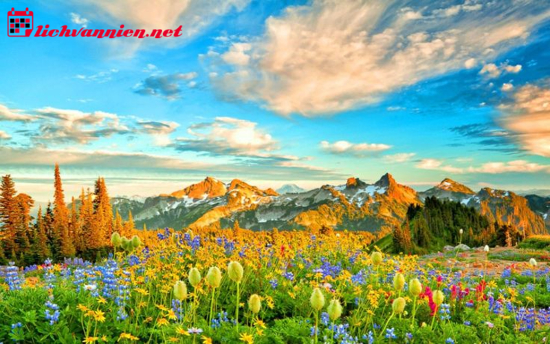 Màu Sắc Phong Thủy Mùa Thu - Bí Quyết Hài Hòa Năng Lượng Cho Không Gian Sống