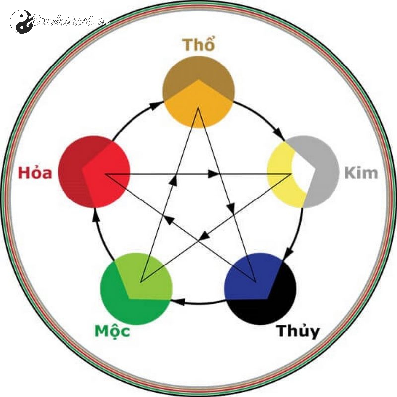 menh-thuy-hop-mau-gi-1-20241026111613