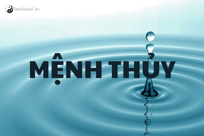 menh-thuy-hop-mau-gi-2-20241026111613