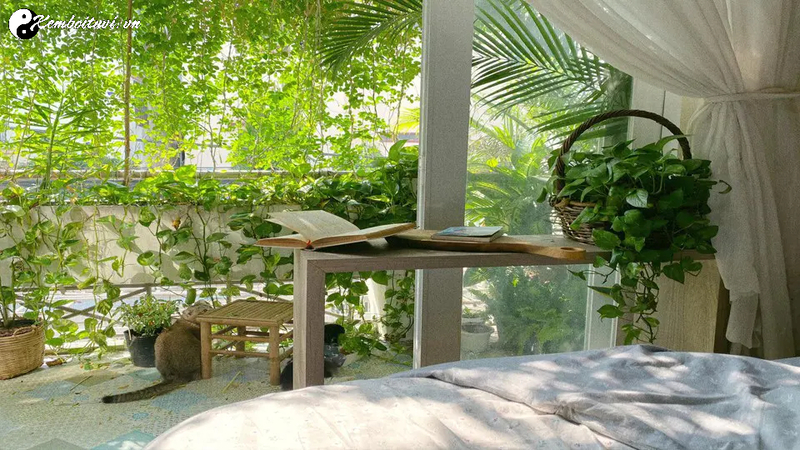 Mẹo Phong Thủy Cho Ngôi Nhà Luôn Mát Mẻ Ngày Hè