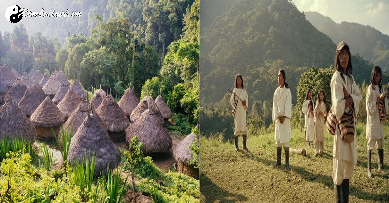 Mộ Của Thị Tộc V&agrave; X&atilde; Hội Thị Tộc: Kh&aacute;m Ph&aacute; B&iacute; Ẩn Văn H&oacute;a Cổ Đại